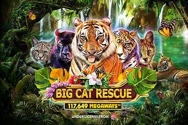 big-cat-rescue-megaways