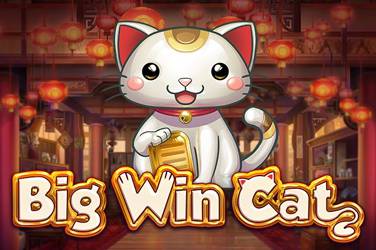 big-win-cat