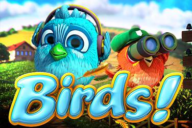 birds