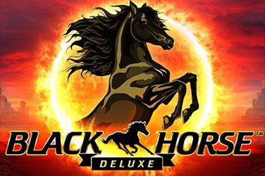 black-horse-deluxe