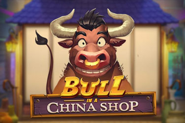 bull-in-a-china-shop