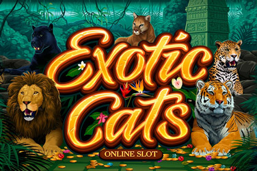 exotic-cats
