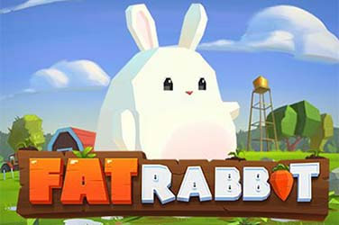fat-rabbit