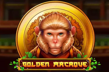 golden-macaque