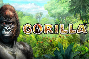 gorilla-1