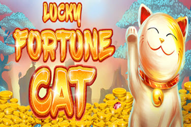 Lucky fortune cat