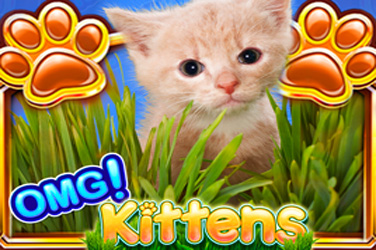 omg-kittens-1