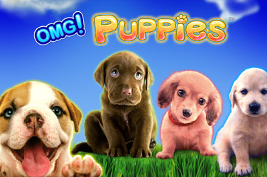 omg-puppies