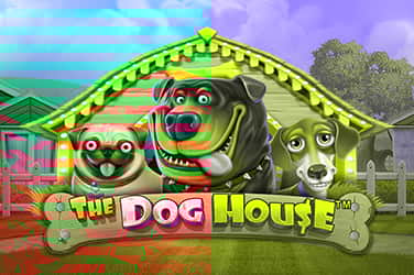 the-dog-house