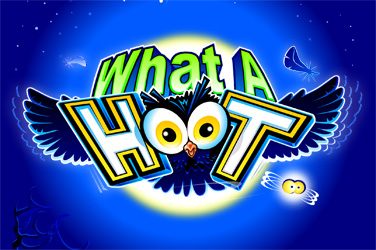 what-a-hoot-1