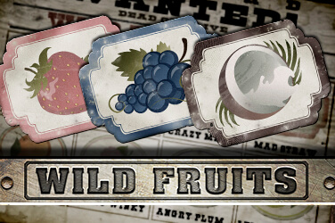 wild-fruits-1