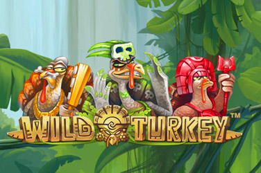 wild-turkey