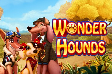 wonder-hounds